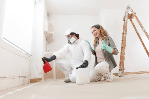 Best Environmental Consulting for Mold Prevention  in USA